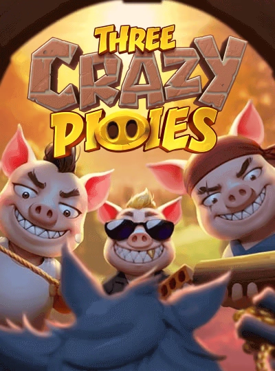li77 li77